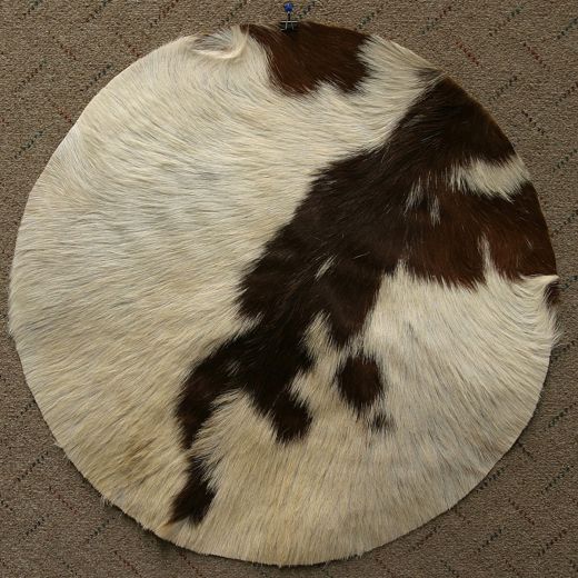 Goatskin With Hair 26-Inch - Medium