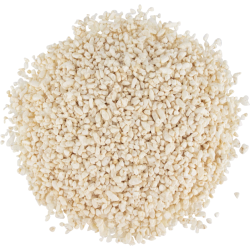 Japanese White Koji - Revolutionize Your Brewing Today!