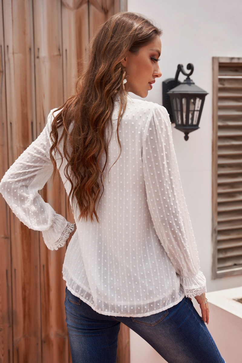 Chic White Elegant Long Sleeve V-Neck Swiss Dot Lace Blouse