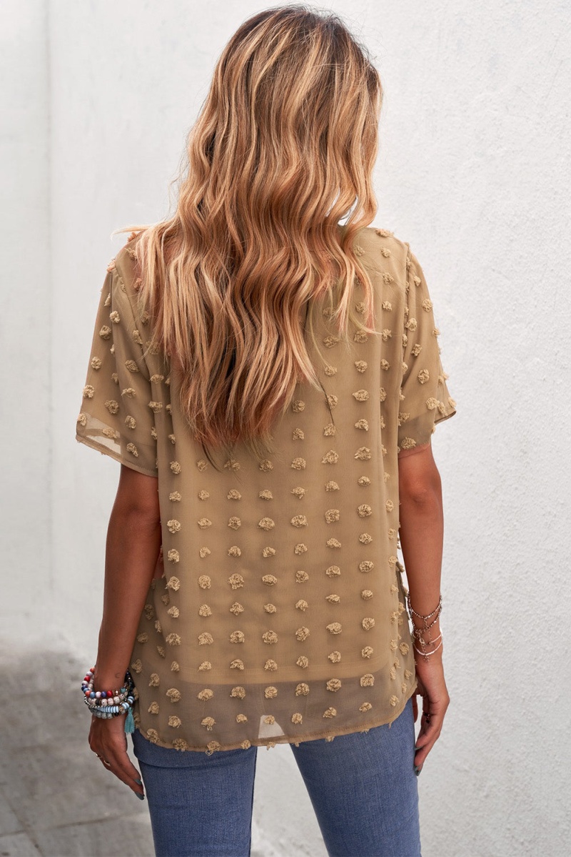 Brown Swiss Dot Texture O Neck Short Sleeve Top