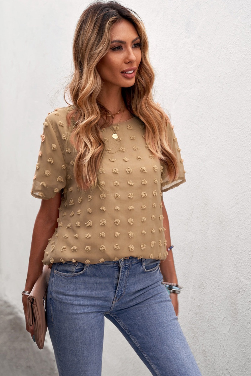 Brown Swiss Dot Texture O Neck Short Sleeve Top