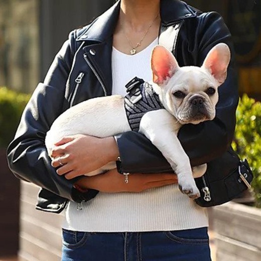 Instachew Petkit Air Fly Dog Harness