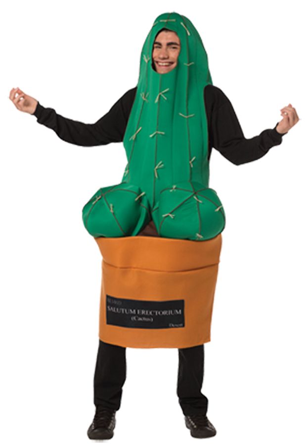 Happy Cactus Costume