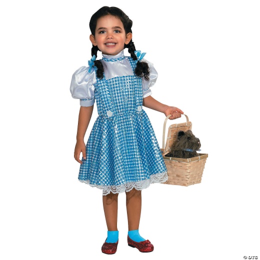 Girl's Sequin The Wizard Of Oz Dorothy Costume - Medium