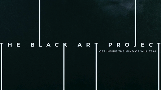 Black Art Project (2 DVD Set) by Sansminds - DVD