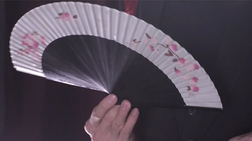 Po-Cheng Lai's Fan Routine DVD: Master the Art of Elegance and Power