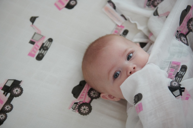 Pink Digger Bamboo Crib Sheet pink-digger-bamboo-crib-sheet