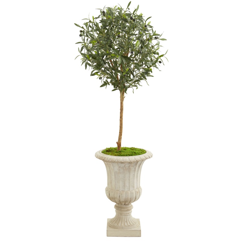 57” Olive Artificial Tree In Decorative Urn