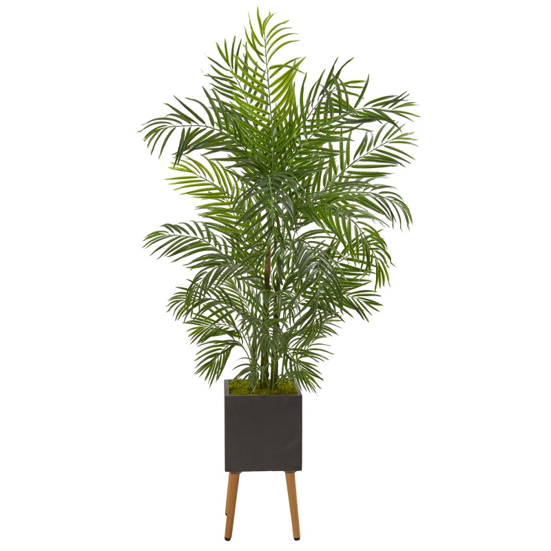 6’ Areca Artificial Palm Tree In Black Planter With Stand Uv Resistant (Indoor/Outdoor)