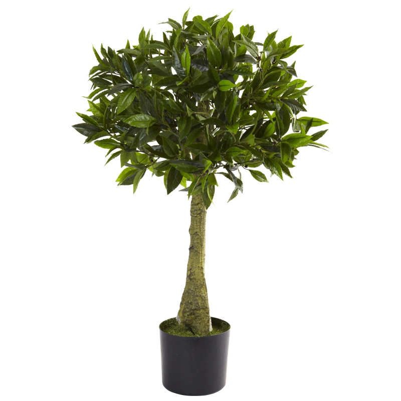 3' Bay Leaf Topiary Uv Resistant (Indoor/Outdoor)