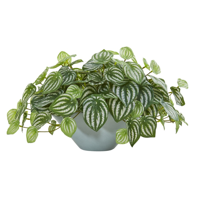 19" Watermelon Peperomia Artificial Plant in Green Vase