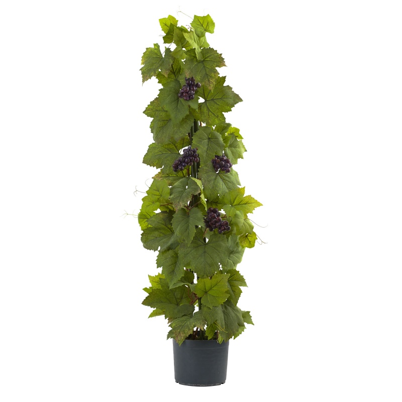 40’ Grape Leaf Deluxe Climbing Plant
