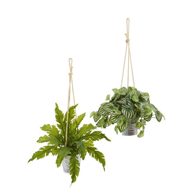 26” Watermelon Peperomia And Fern Artificial Plant In Hanging Bucket (Set Of 2)