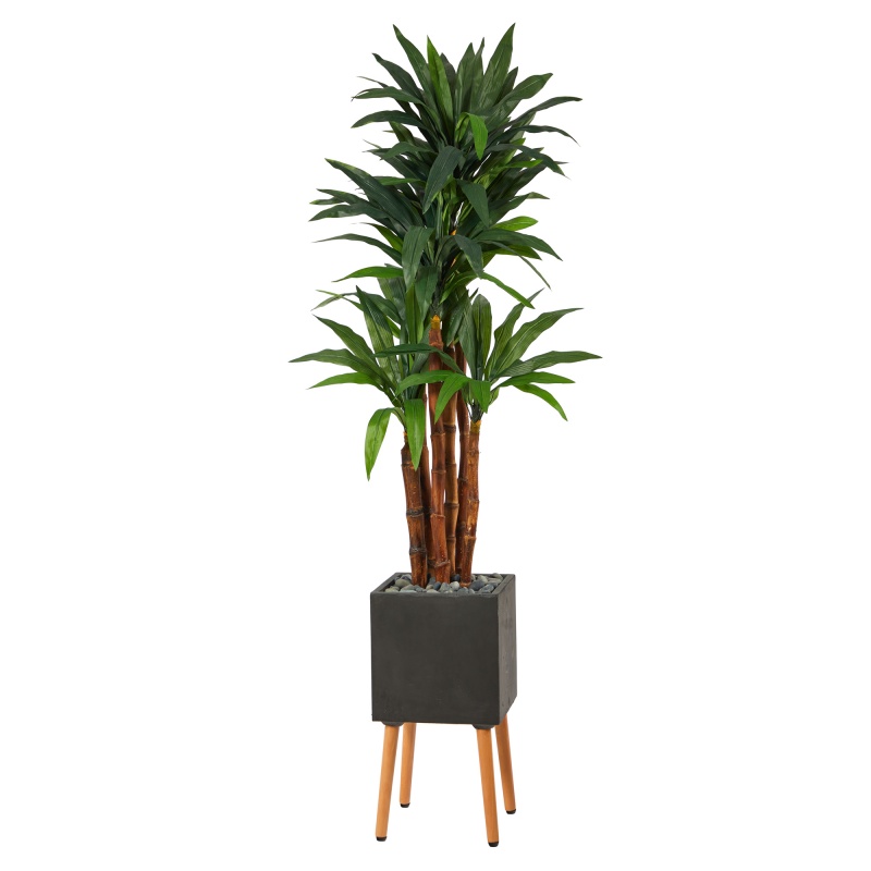 6’ Dracaena Artificial Tree In Black Planter With Stand