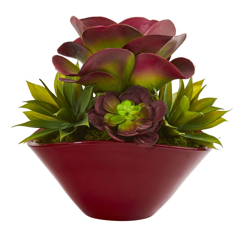 11” Mixed Succulent Artificial Plant In Burgundy Planter