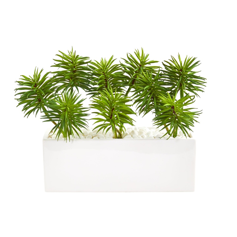 Spiky Succulent Artificial Plant in White Ceramic Vase