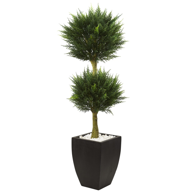 Cypress Topiary With Black Planter