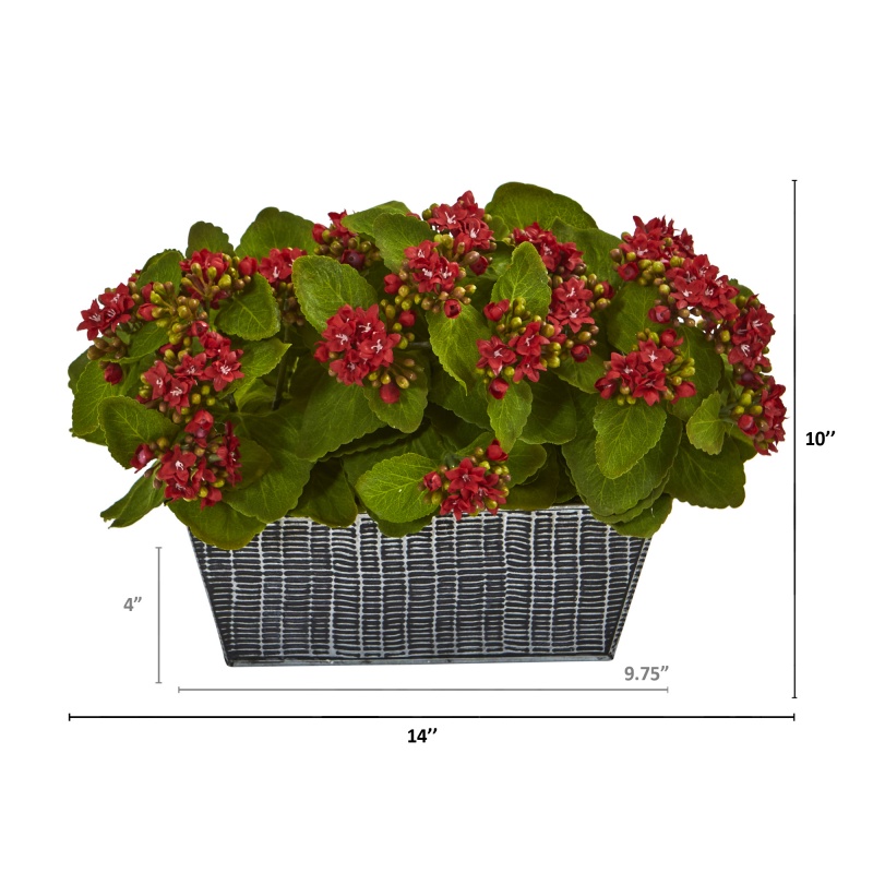 Product thumbnail 6