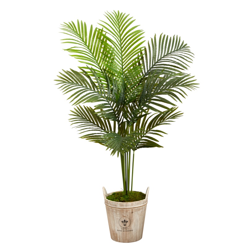 5’ Paradise Palm Artificial Tree In Farmhouse Planter