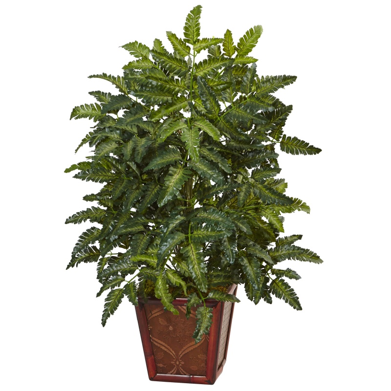 Bracken Fern In Wooden Planter