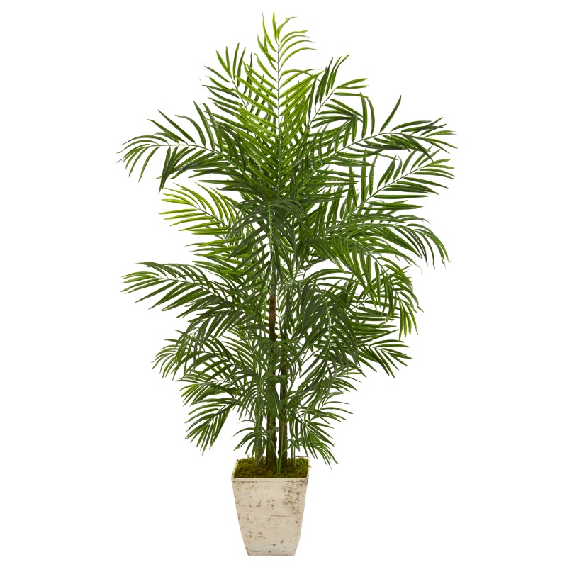 63” Areca Artificial Palm Tree in White Planter