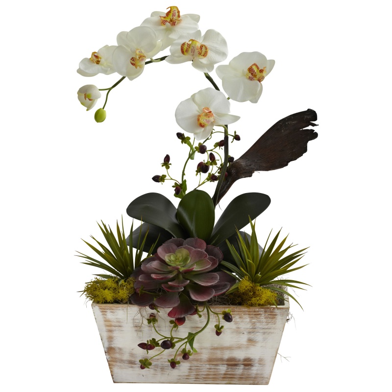 Orchid & Succulent Garden with White Wash Planter