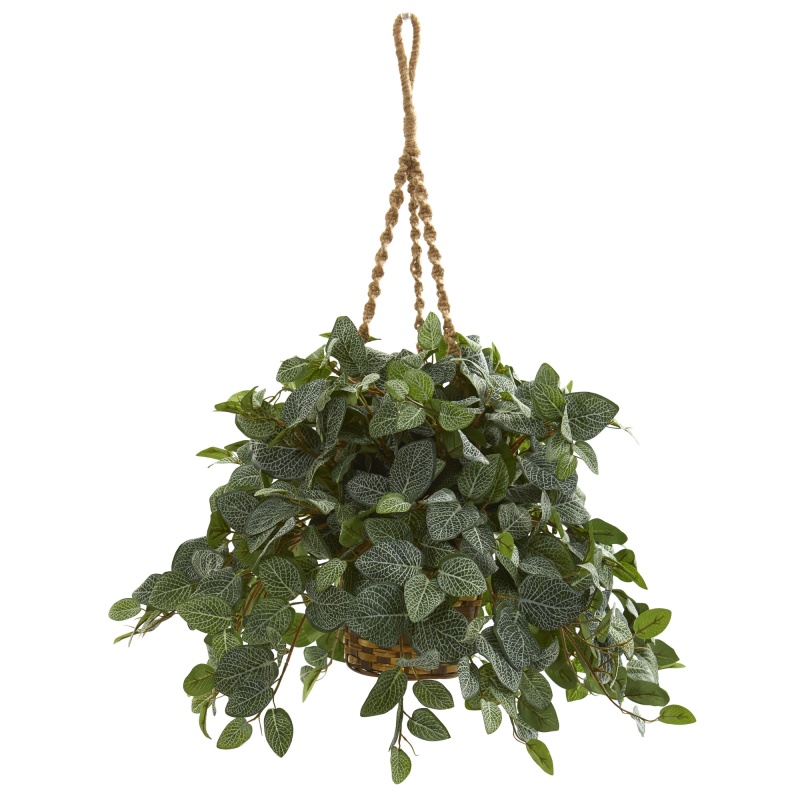 Fittonia Artifical Plant In Hanging Basket