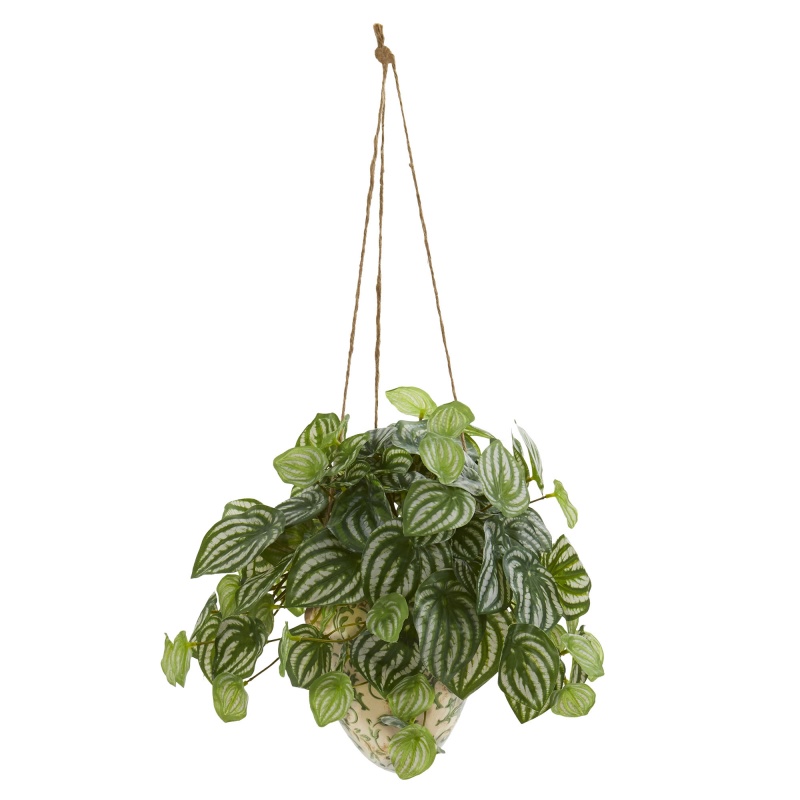 24” Watermelon Peperomia Artificial Plant In Hanging Vase (Real Touch)