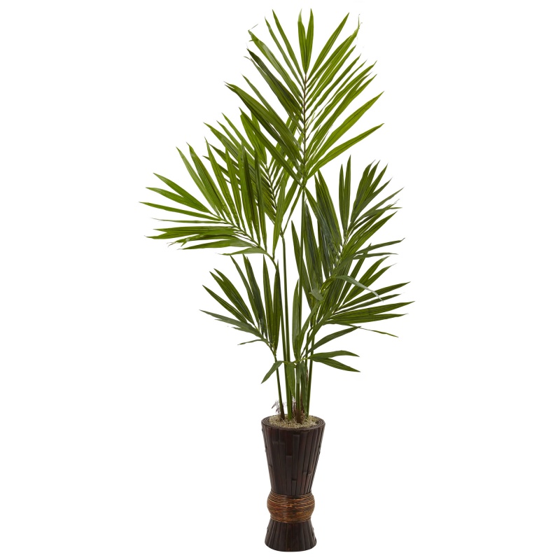 6’ Kentia Tree W/Bamboo Planter