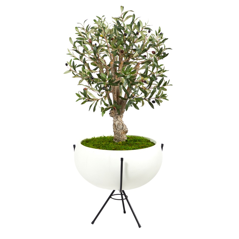 3’ Olive Artificial Tree in White Planter