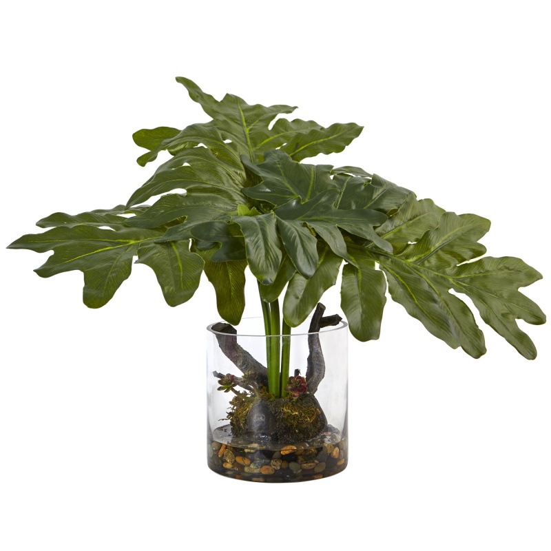 Philodendron Arrangement With Vase