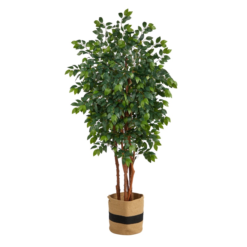 7’ Sakaki Artificial Tree In Handmade Natural Cotton Planter