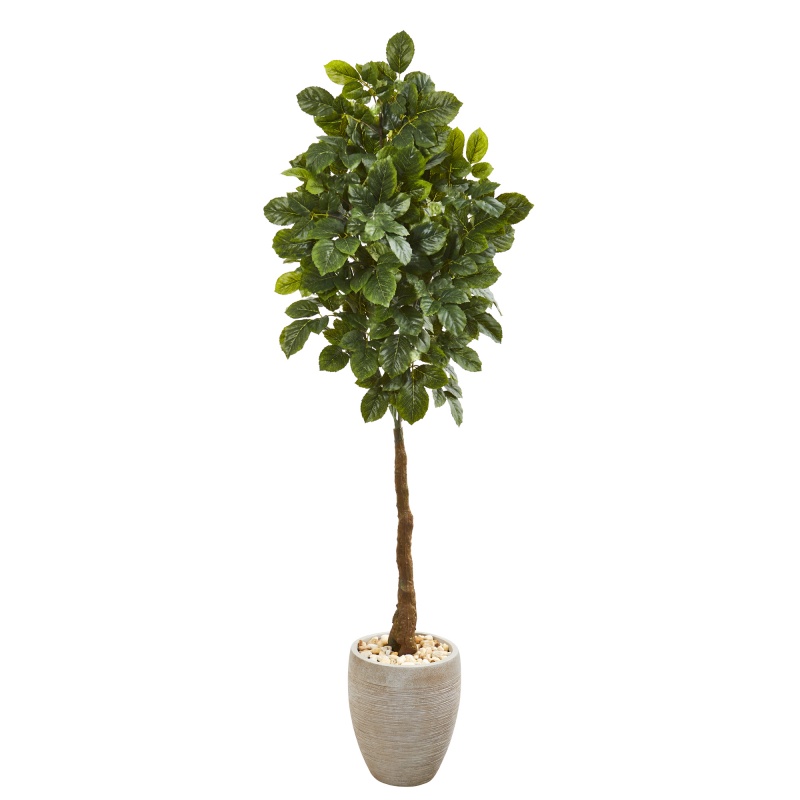 69” Beech Leaf Artificial Tree In Sand Colored Planter