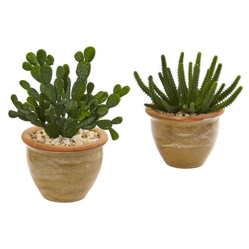 Cactus Succulent Artificial Plant In Ceramic Vase (Set Of 2)