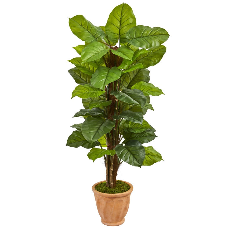 5’ Large Leaf Philodendron Artificial Plant in Terracotta Planter