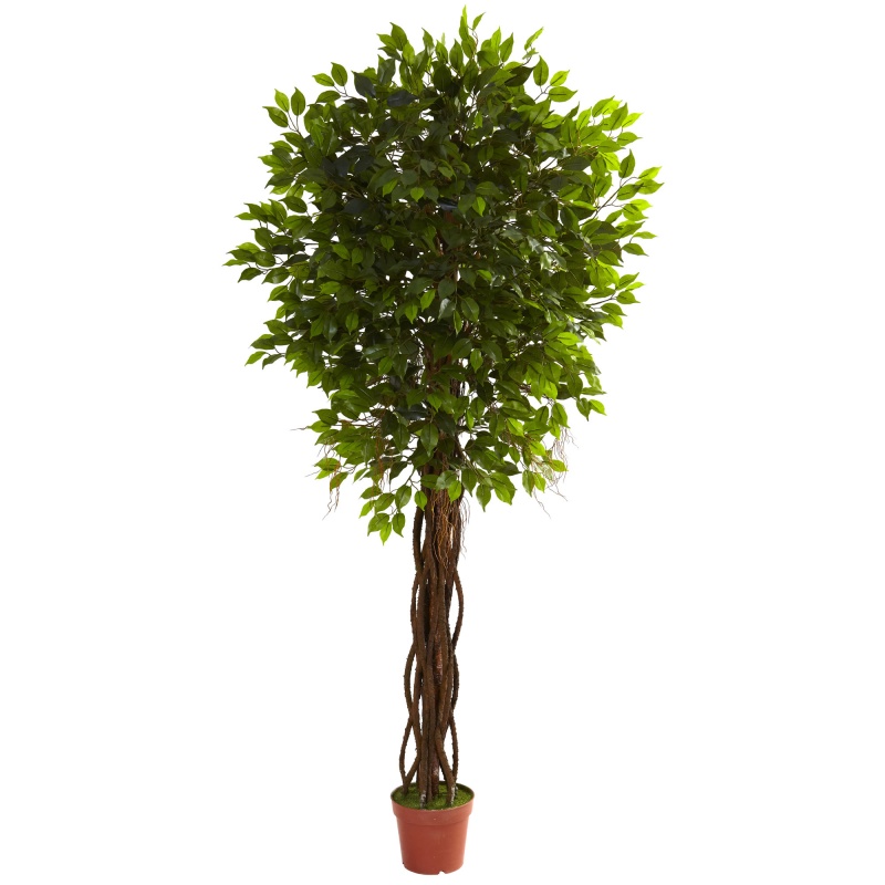 7.5' Ficus Tree Uv Resistant (Indoor/Outdoor)