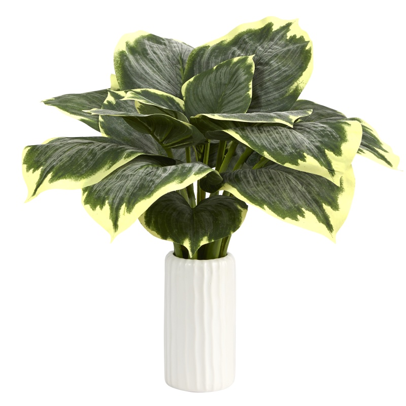 19” Variegated Hosta Artificial Plant In White Planter