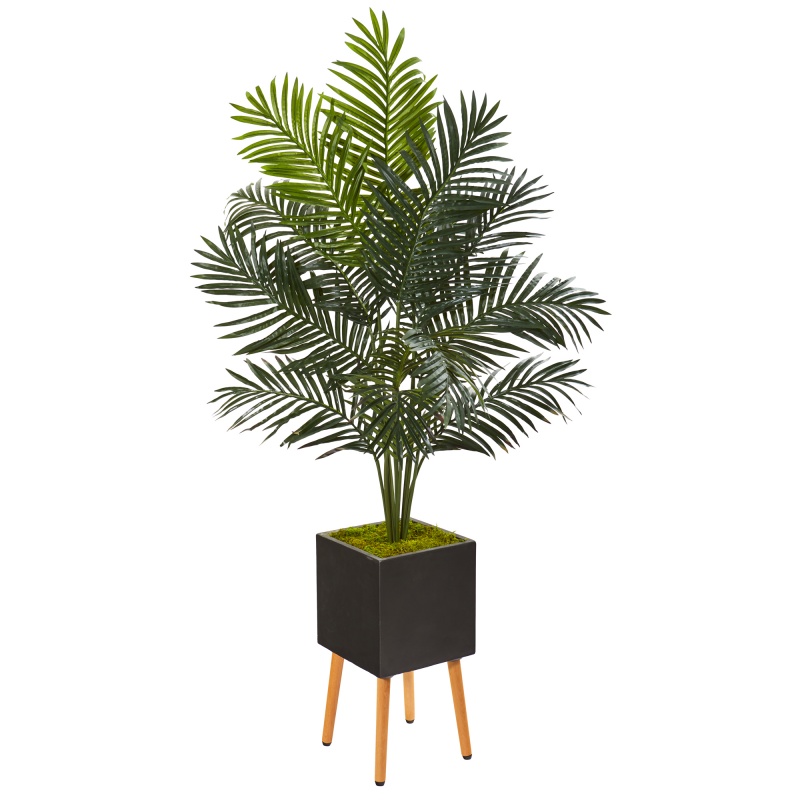 65” Paradise Palm Artificial Tree In Black Planter With Stand