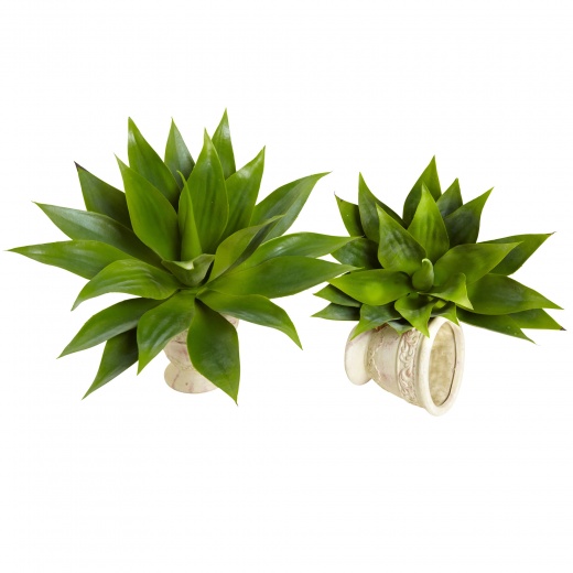 17” Agave Succulent Plant (Set Of 2)