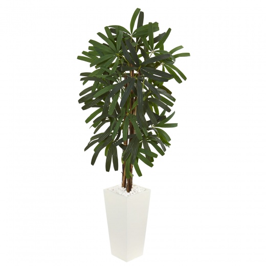 5.5’ Raphis Palm Artificial Tree In White Tower Planter