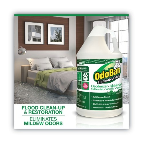 Odoban Concentrated Odor Eliminator And Disinfectant, Eucalyptus, 1 Gal Bottle