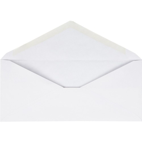 Business Source No. 10 V-Flap Envelopes