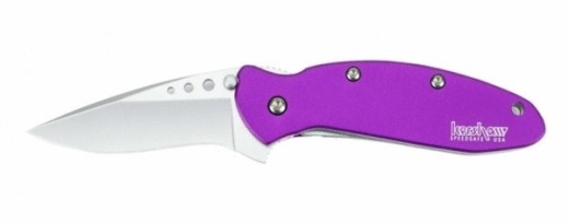 Kershaw 1620Pur - Scallion- Purple