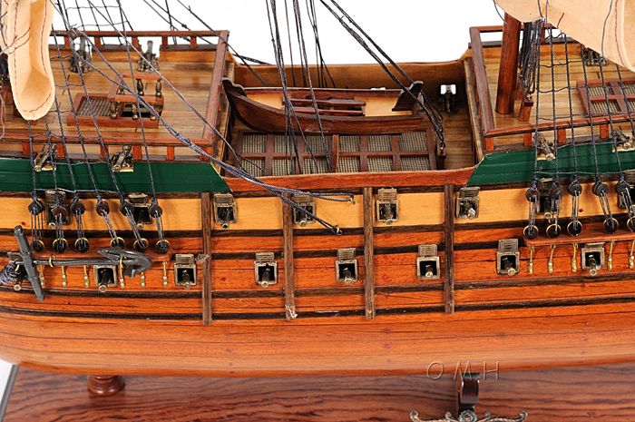 Friesland Medium
