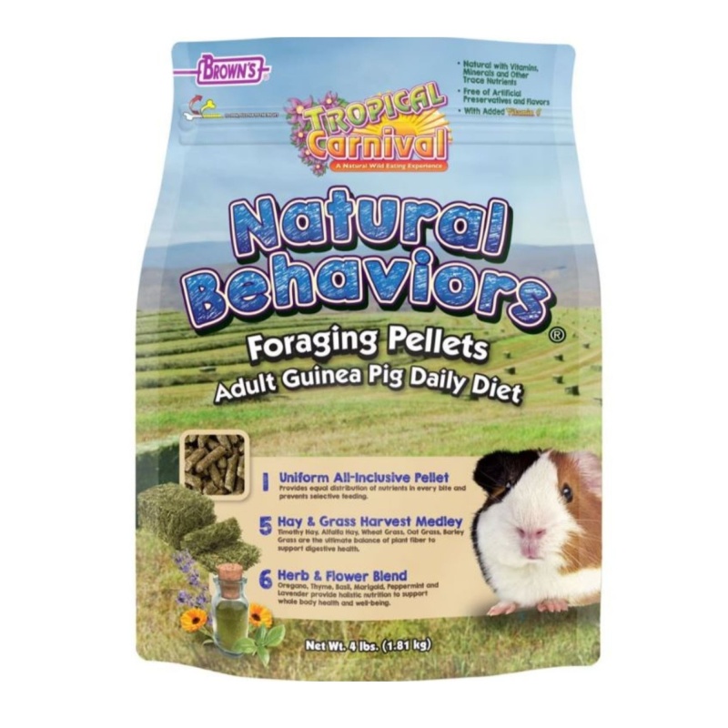 Image showcasing Tropical Carnival Foraging Pellets Guinea Pig Food 4 Lb