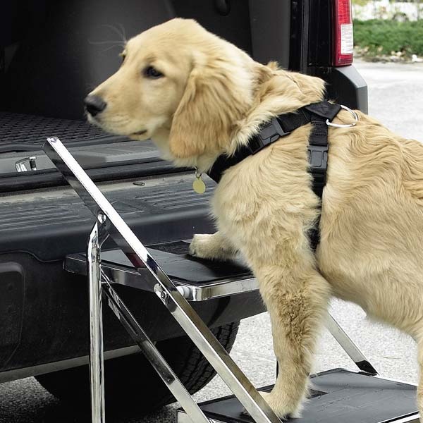 Master Equipment Pet Stairs For Grooming Tables And Suvs