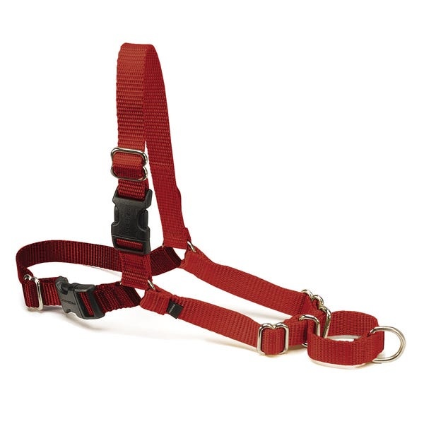 Premier Easy Walk Harness M Red