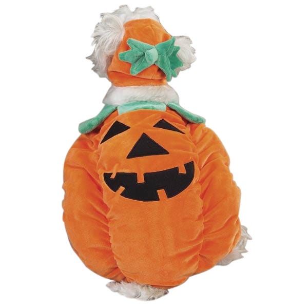 Zack & Zoey Pumpkin Pooch Costumes , m