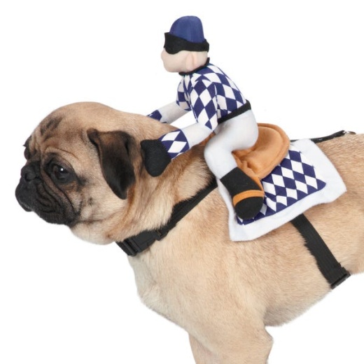 Zack & Zoey Show Jockey Saddle Costume