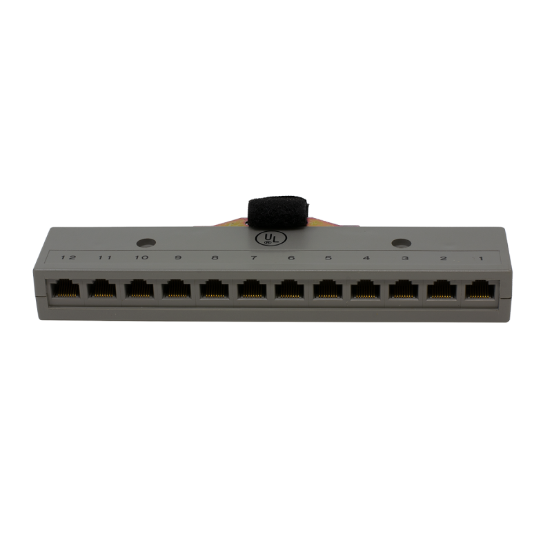 12 Port 2 Pair Rj-45 Harmonica With Male Amp Connector